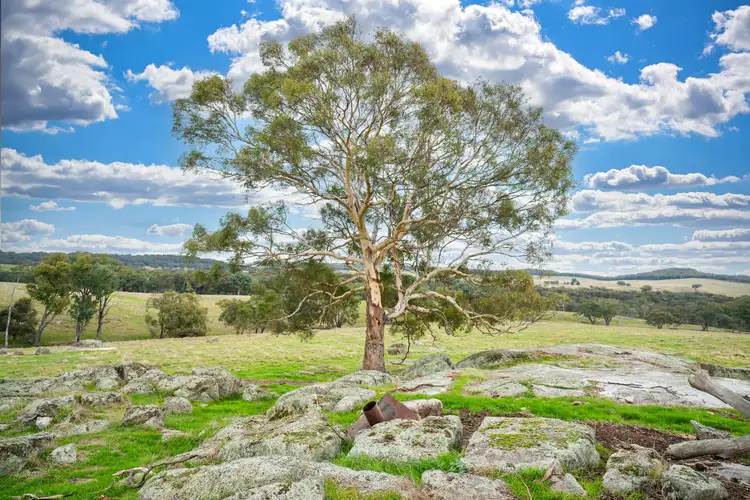 Seventh view of Homely rural property listing, 7 Three Sisters Road, Beechworth VIC 3747