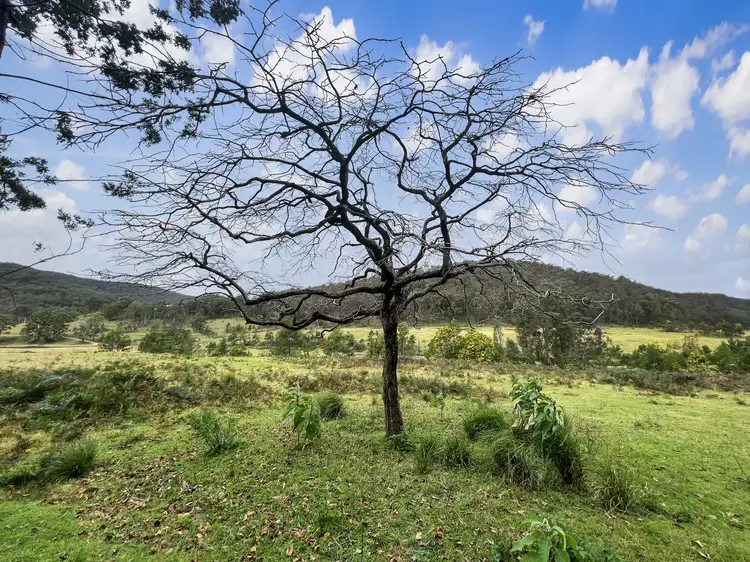 Fifth view of Homely rural property listing, Parcel A Hitcham Park Dairy Arm Road, Laguna NSW 2325