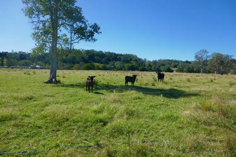 Third view of Homely rural property listing, 391 Rock Valley Rd, Lismore NSW 2480