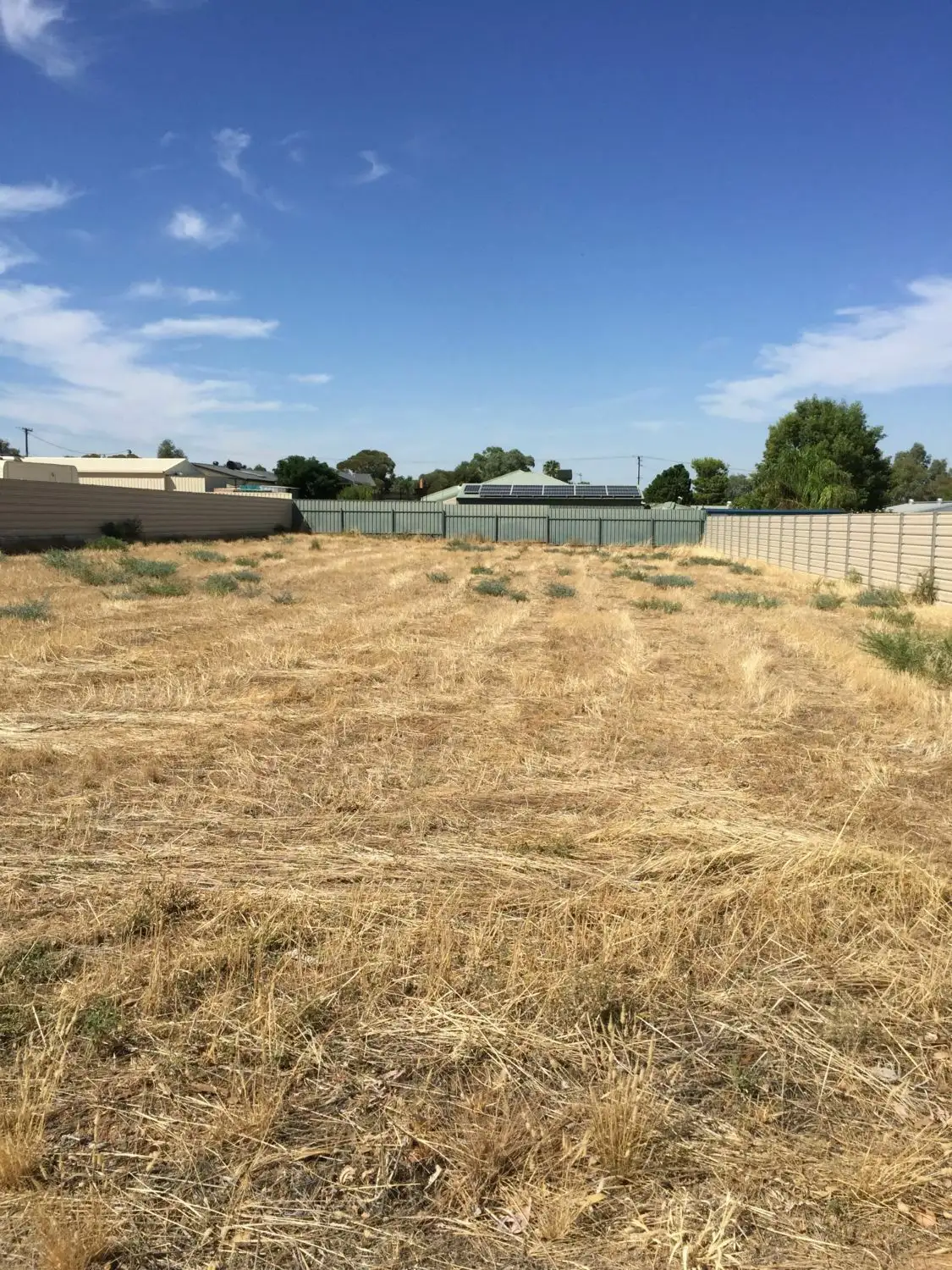 Main view of Homely land listing, 49 First Street, Napperby SA 5540