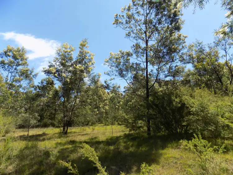 Third view of Homely land listing, Lot 2 Back Wombat Road, Boisdale VIC 3860