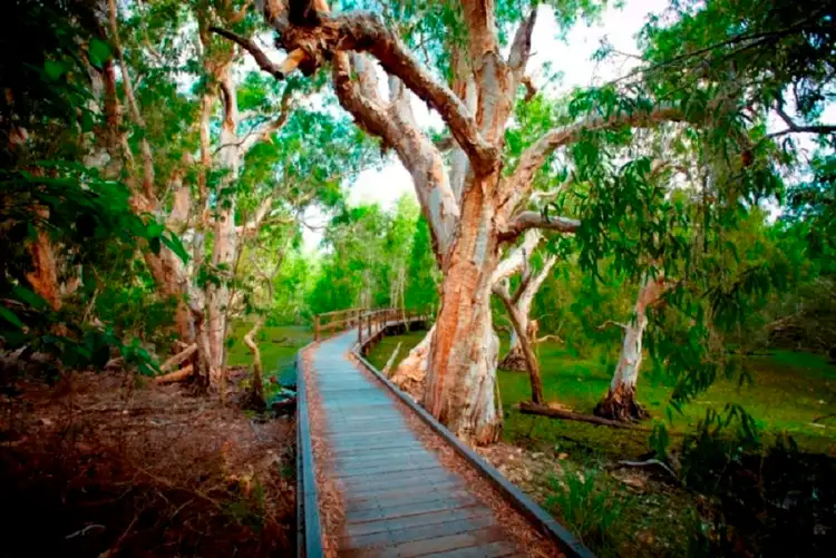 Third view of Homely land listing, 13 Pandanus Drive, Horseshoe Bay QLD 4819