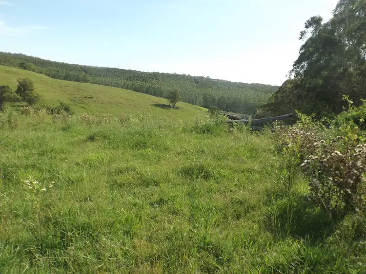 Fourth view of Homely rural property listing, 2914 Sextonville Rd, Woolners Arm NSW 2470