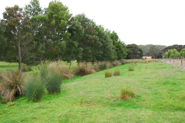 Sixth view of Homely rural property listing, 199 Bakers Lane, Northdown TAS 7307