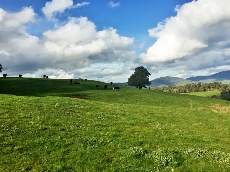 Second view of Homely rural property listing, Lot 28 Back Creek Road, Yackandandah VIC 3749