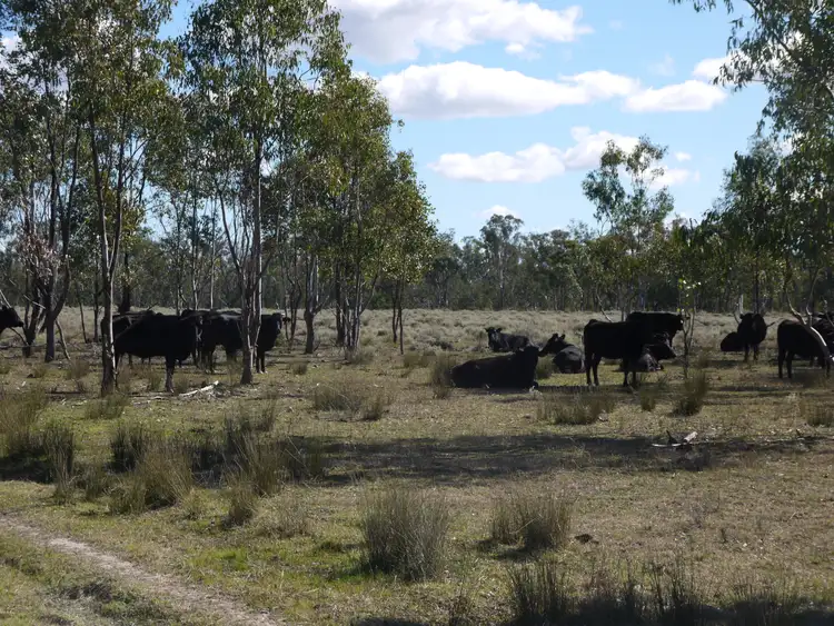 Second view of Homely rural property listing, Lot 7 Bosnjaks Road, Glenarbon QLD 4385