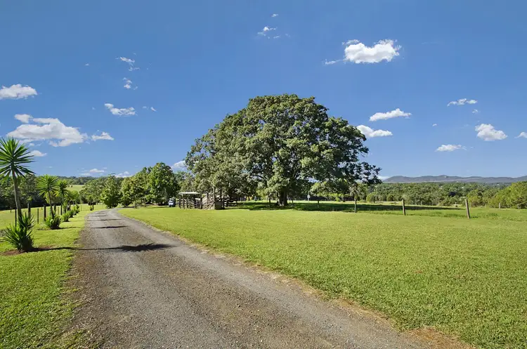 Fourth view of Homely rural property listing, 190 Mortons Creek Road, Beechwood NSW 2446