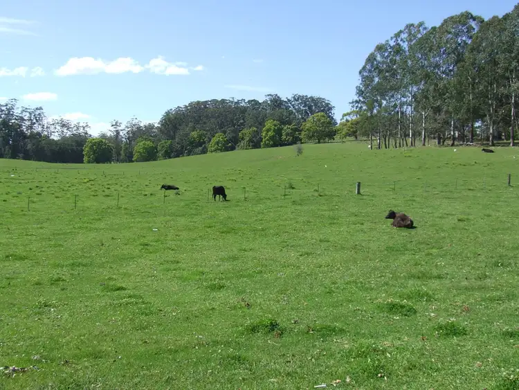 Fifth view of Homely rural property listing, Lot 220 Mardells Road, Bucca, Coffs Harbour NSW 2450