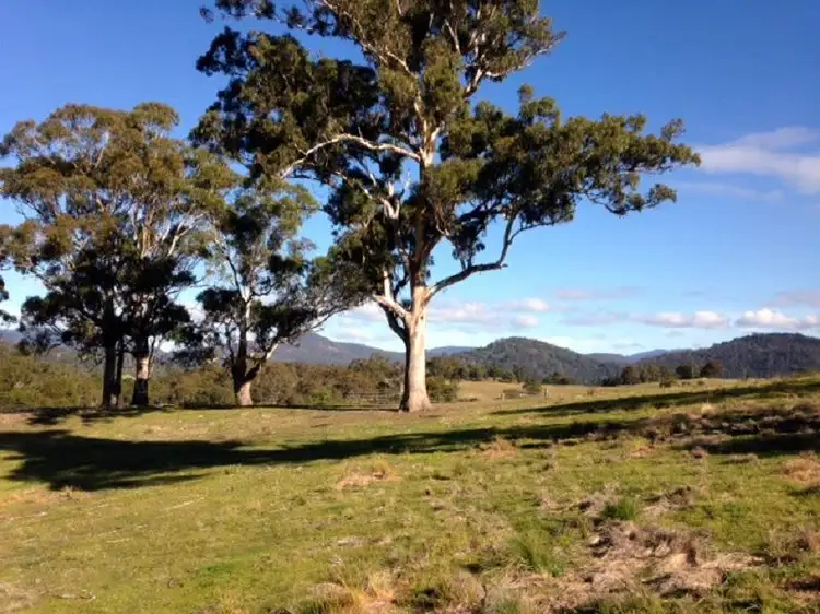 Seventh view of Homely rural property listing, 613 New Buildings Road, Wyndham NSW 2550