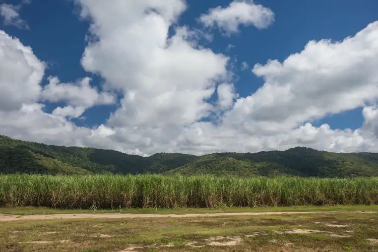 Sixth view of Homely land listing, Lot 84 Captain Cook Highway, Port Douglas QLD 4877