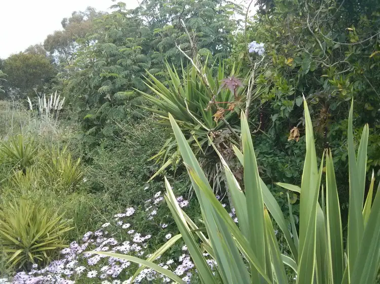 Fourth view of Homely rural property listing, Address available on request