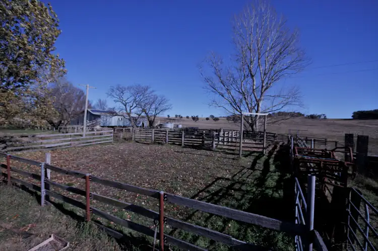 Fifth view of Homely rural property listing, 2942 Tinderry Road, Anembo NSW 2621