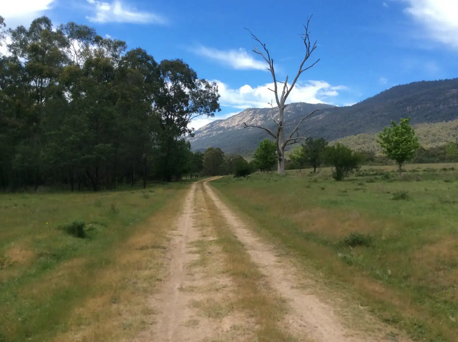 Main view of Homely land listing, L4 PS206855 Buffalo Creek Road, Myrtleford VIC 3737