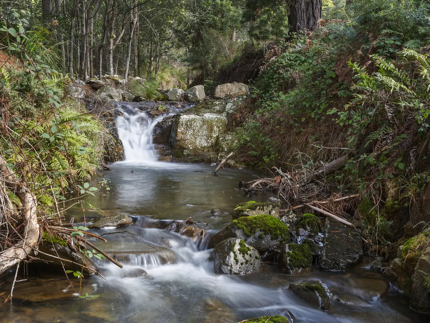 Main view of Homely land listing, Lot 1 Mitchells Road, Crabtree TAS 7109