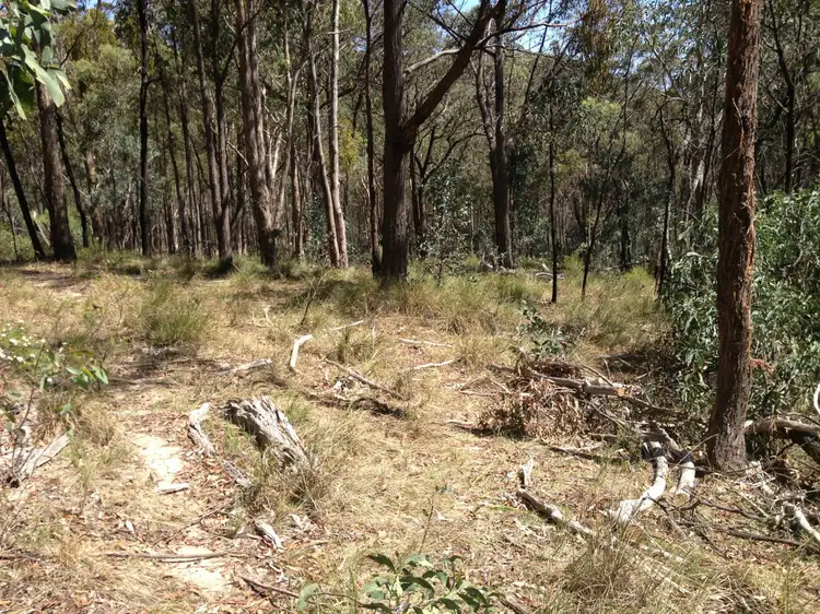 Fifth view of Homely rural property listing, Lot 221,222 & 172 Castlereagh Highway, Ilford NSW 2850