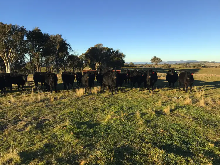 Third view of Homely rural property listing, 2162 Aarons Pass Rd, Aarons Pass NSW 2850
