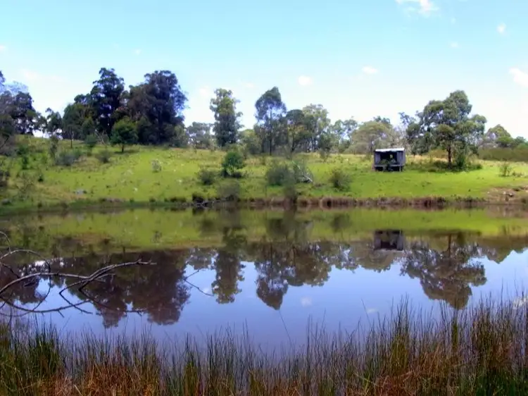Fourth view of Homely rural property listing, 295 Myrtle Mtn Road, Wyndham NSW 2550