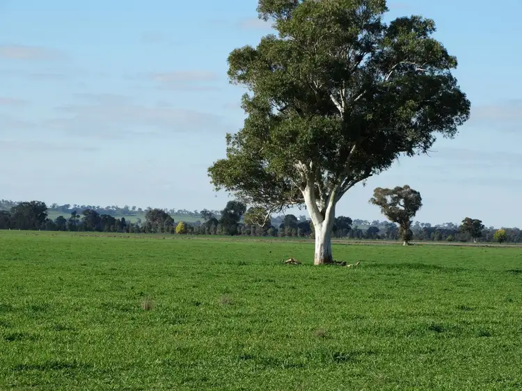 Part 2415 Walbundrie Road, Walla Walla NSW 2659