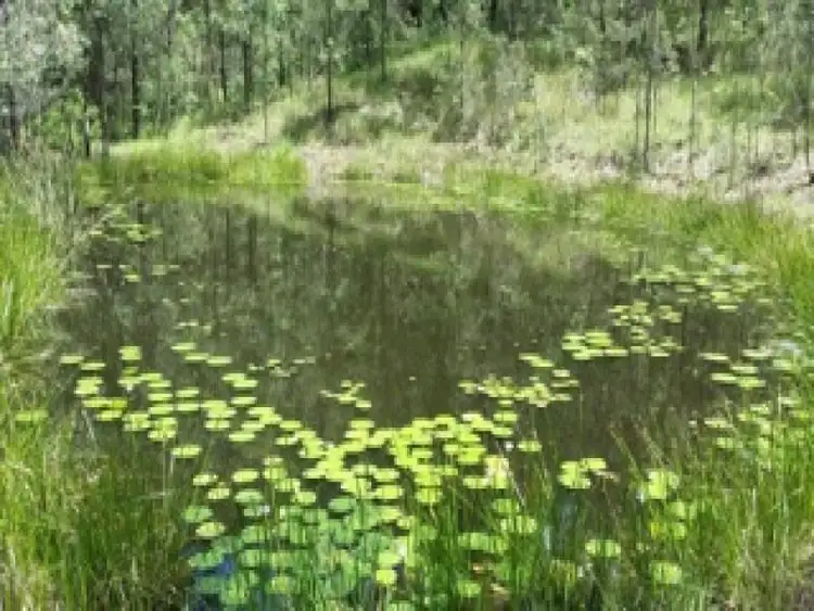 Second view of Homely rural property listing, Lot 4 Leslie Creek Road, Drake NSW 2469