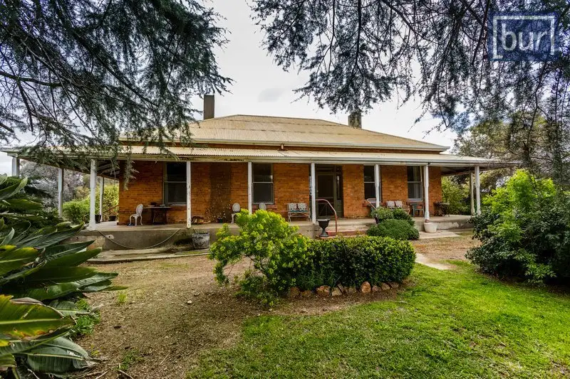 Main view of Homely rural property listing, 87 Mia Mia Road, Rutherglen VIC 3685