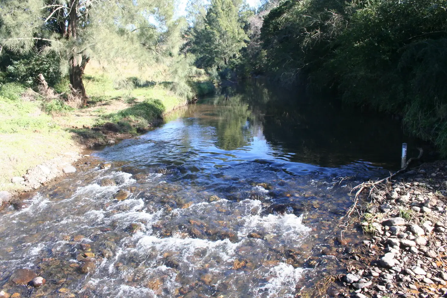 Main view of Homely rural property listing, 890 Bagnoo Rd, Byabarra NSW 2446