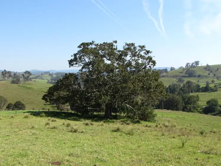 Sixth view of Homely rural property listing, 782 Bunyah Road, Bunyah NSW 2429