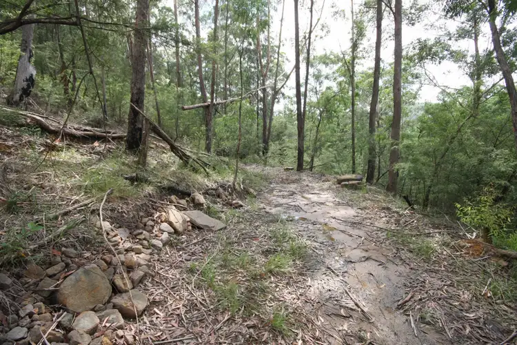 Seventh view of Homely land listing, 887 St Albans Road, Lower Macdonald NSW 2775