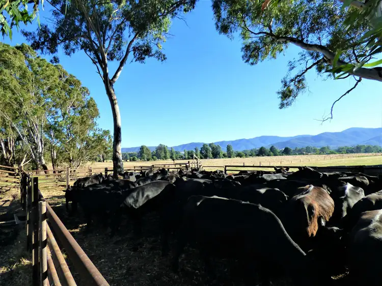 Fifth view of Homely rural property listing, 4148 Snow Road, Myrtleford VIC 3737
