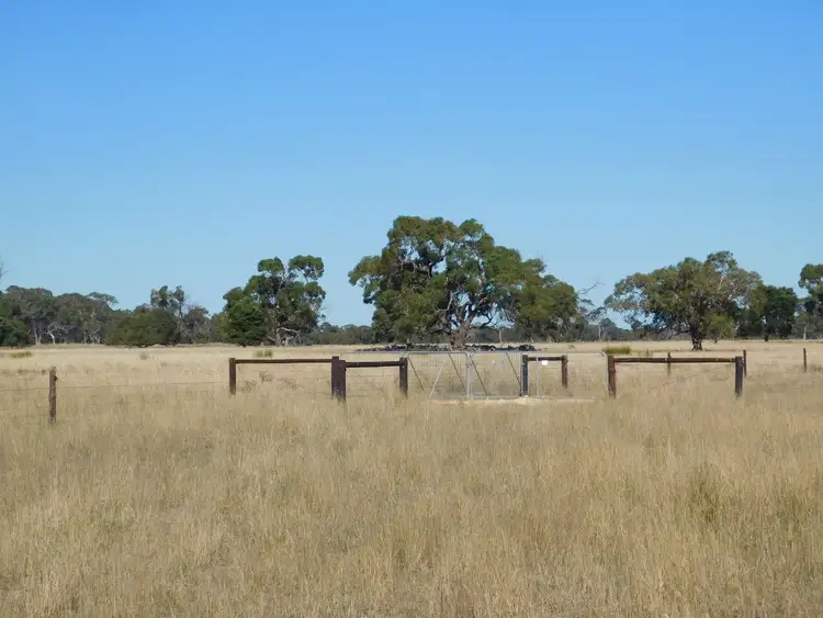 Sixth view of Homely rural property listing, 1203 Old Kalangadoo-Penola Road, Monbulla SA 5277