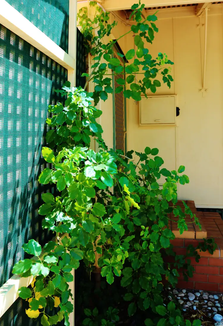 Fourth view of Homely house listing, LOT 267, 25 Christie St, Exmouth WA 6707