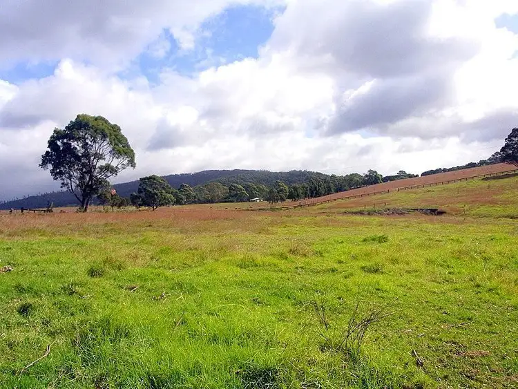 Fifth view of Homely rural property listing, 561 Back Creek Road, Lochiel NSW 2549