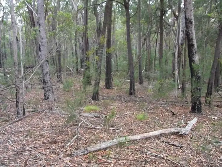 Third view of Homely rural property listing, L963 Mt Darragh Road, Lochiel NSW 2549