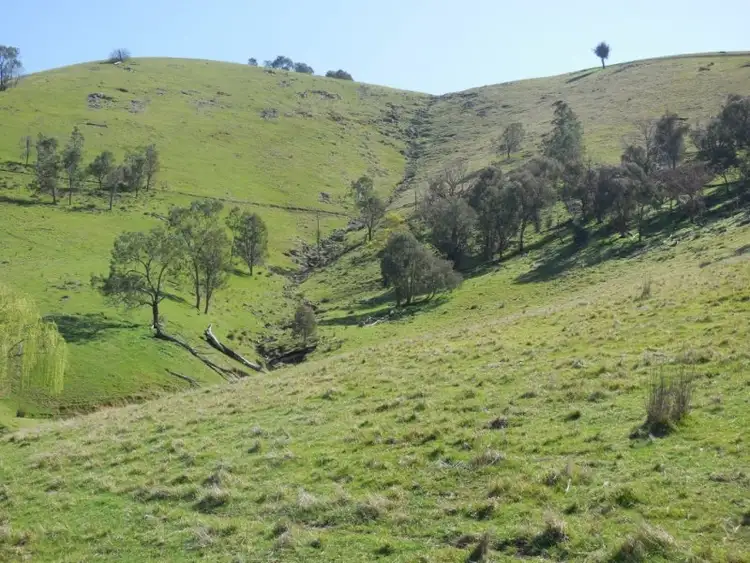 . River Road, Talmalmo NSW 2640