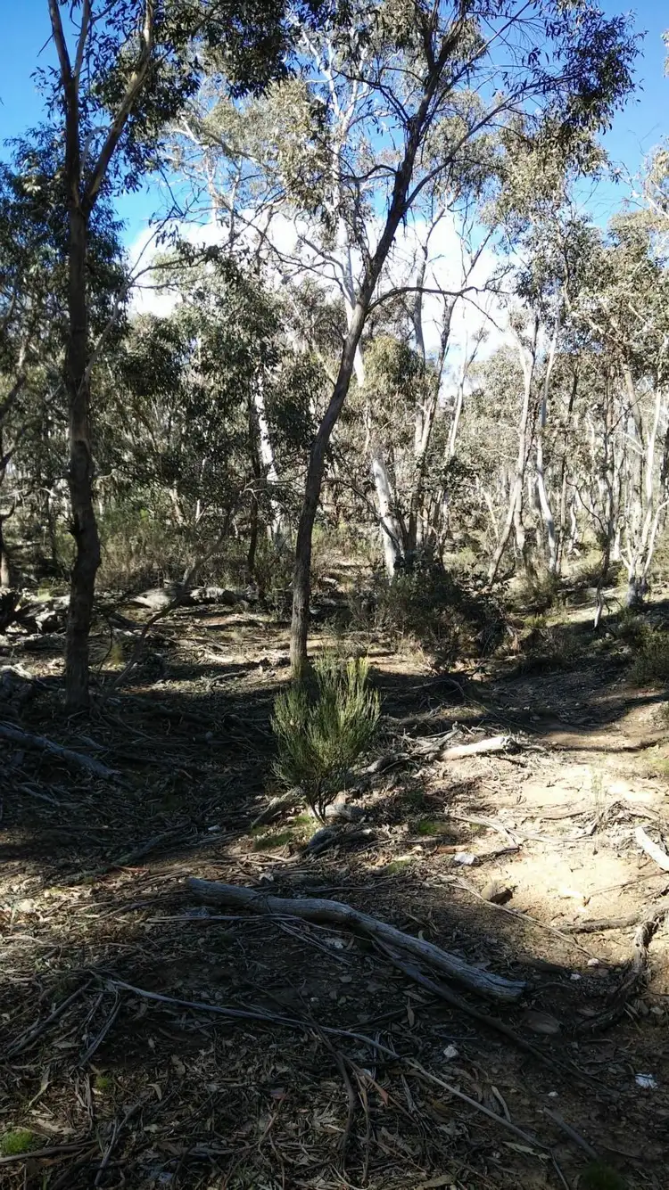 Seventh view of Homely rural property listing, 1685 Jerangle Road, Bredbo NSW 2626