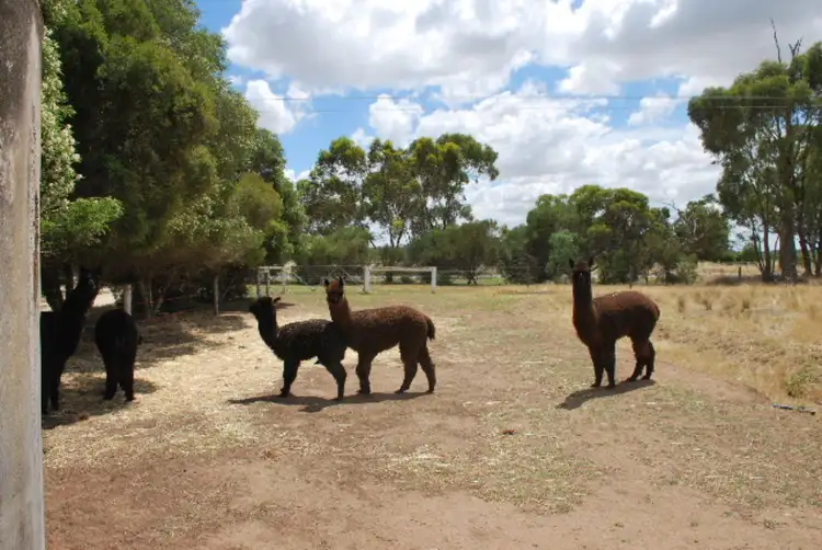 Second view of Homely house listing, 2805 Murray Valley Highway, Cobram East VIC 3644