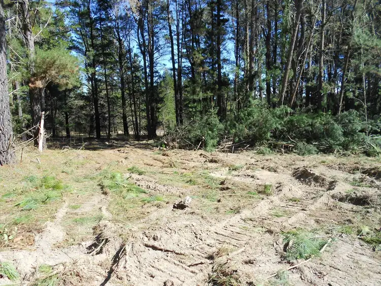 Sixth view of Homely land listing, L154 / 307 RIFLE RANGE ROAD, Uralla NSW 2358