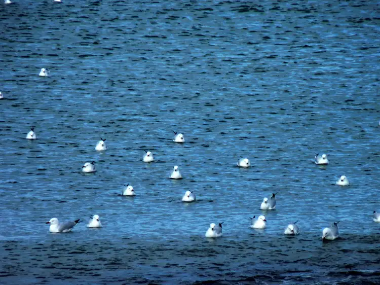 Fourth view of Homely rural property listing, Address available on request