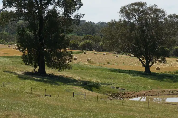 Sixth view of Homely land listing, Lot 101 Cobbler Pool Road, Toodyay WA 6566