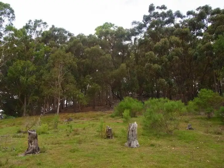 Fourth view of Homely rural property listing, 1655 Nethercote Road, Greigs Flat NSW 2549