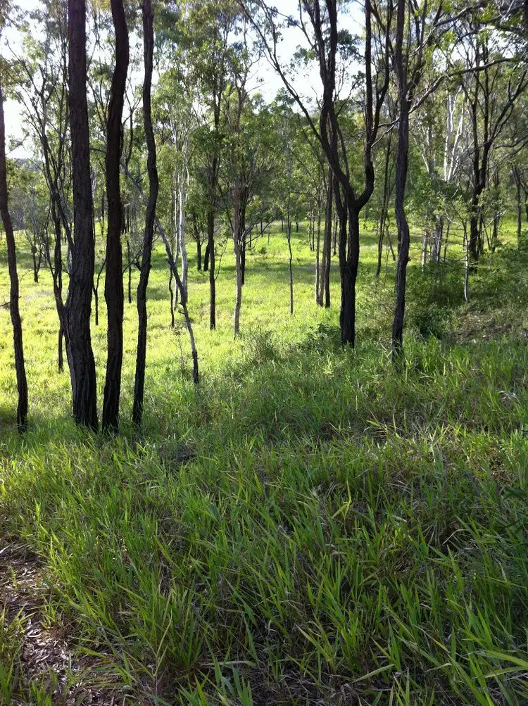 Seventh view of Homely rural property listing, 140 Limestone Road, Struck Oil QLD 4714