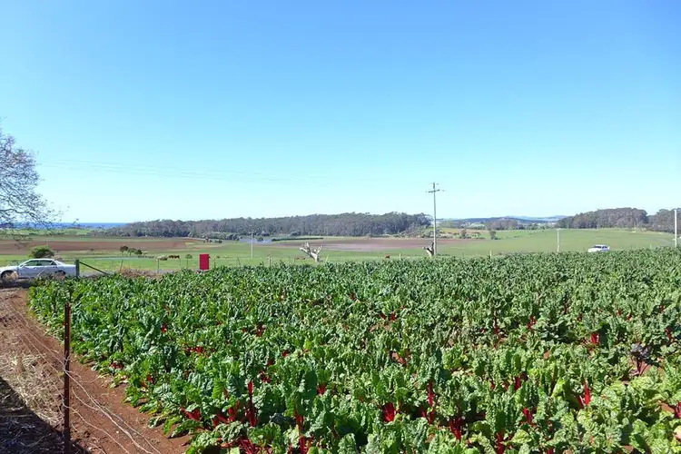 Fourth view of Homely rural property listing, 220 Torquay Road, East Devonport TAS 7310