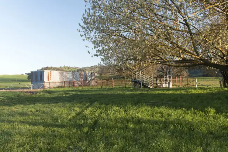 Sixth view of Homely rural property listing, 11362 Murray River Road, Tintaldra VIC 3708