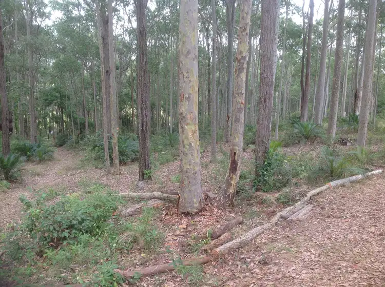 109 Old Highway, Narooma NSW 2546