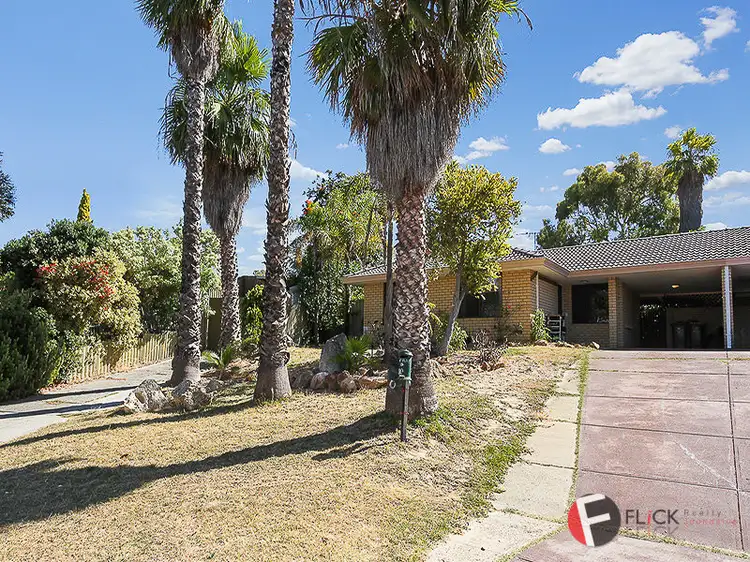 Main view of Homely house listing, 10B Albatross Court, Heathridge WA 6027