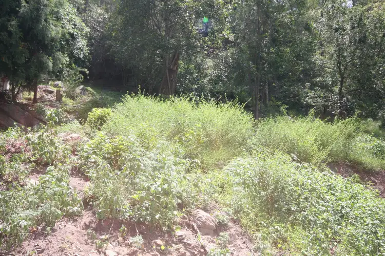 Second view of Homely land listing, 31 St Albans Road, Wisemans Ferry NSW 2775