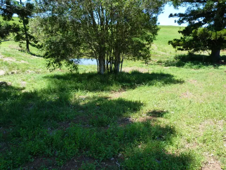 Fifth view of Homely land listing, Lot 6 Billman Court, Chatsworth QLD 4570