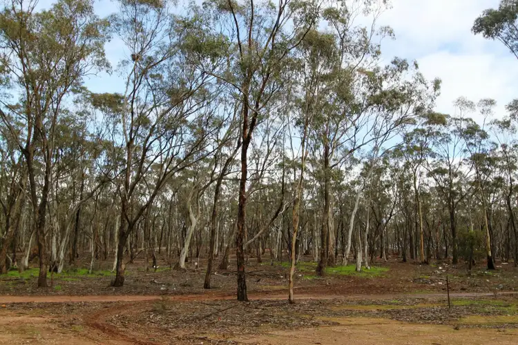 Sixth view of Homely rural property listing, Address available on request