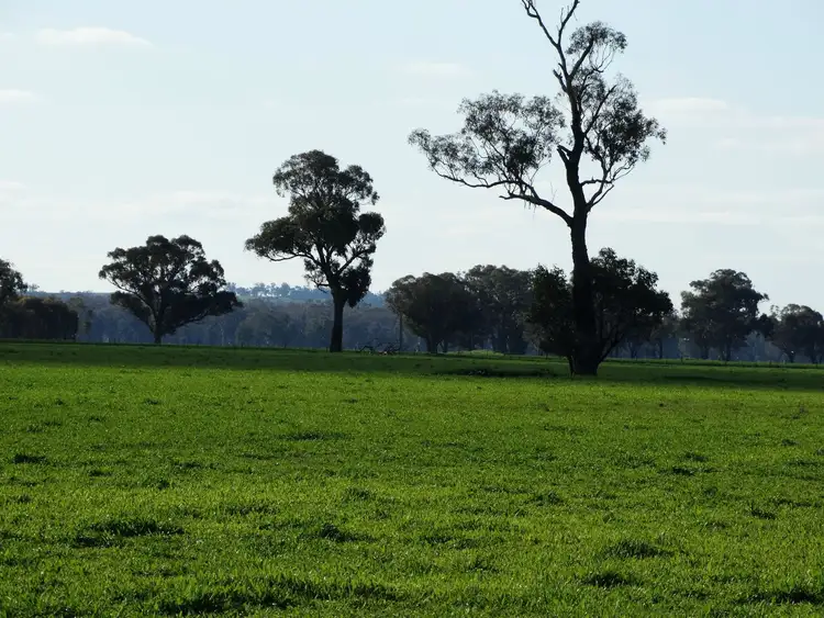 Sixth view of Homely rural property listing, Part 2415 Walbundrie Road, Walla Walla NSW 2659