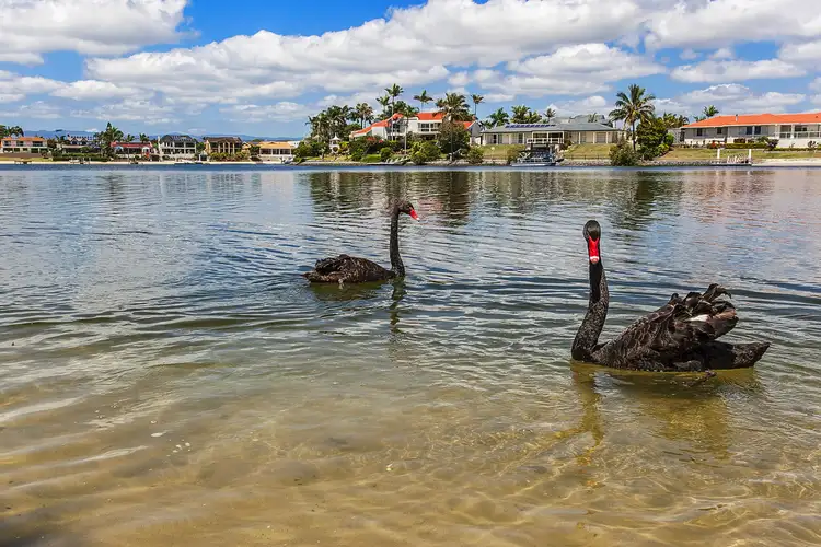 Fourth view of Homely townhouse listing, 9/17-21 Duet Dr, Mermaid Waters QLD 4218
