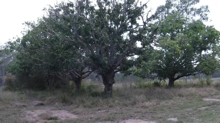 Main view of Homely land listing, 128 Lambs Road, Isis River QLD 4660